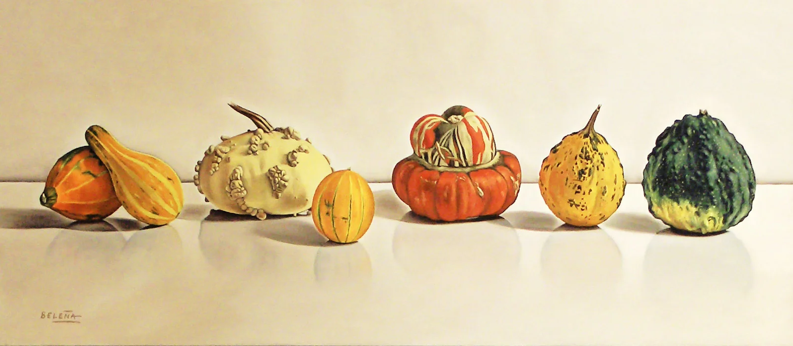 Calabazas sobre fondo blanco 100 x 44  Oleo sobre tela